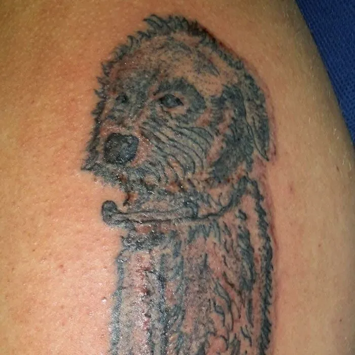50 Hilariously Unfortunate Tattoos The Internet Won’t Let These People Ever Forget (New Pics)