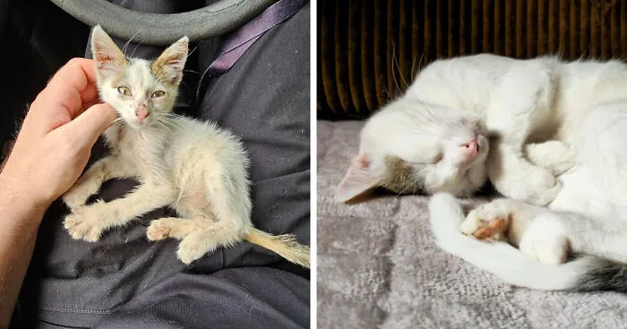 Spectacular Glow Up Since Last Summer