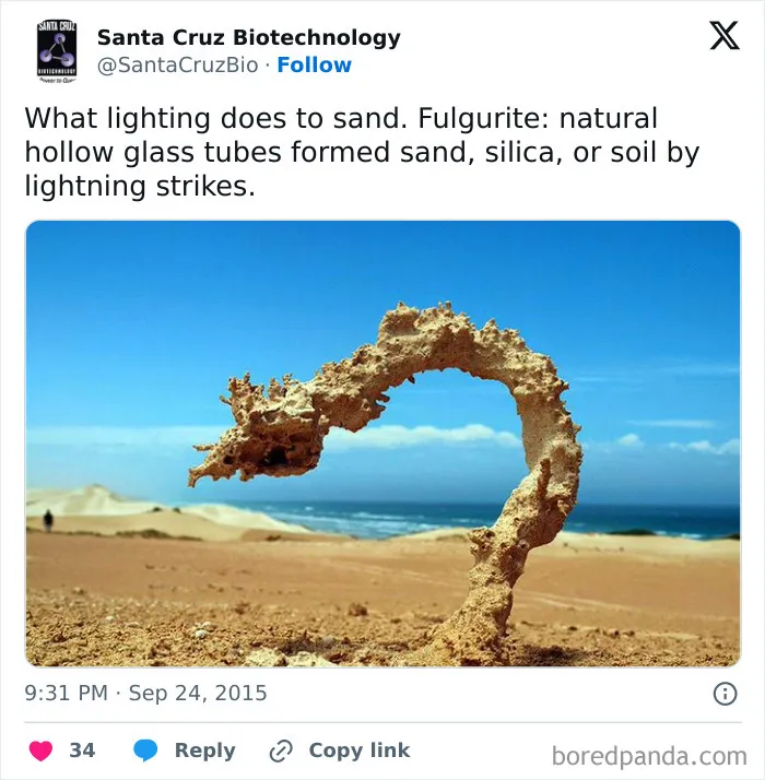 Sir, That Is Obviously A Beach Demon