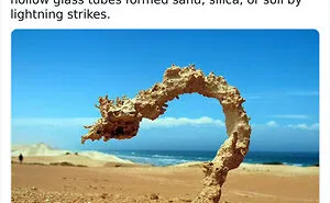 60 Times People Took A Pic Of Something Very Random They Found Out