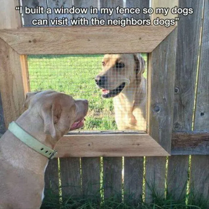 50 Truthful Memes About What It’s Like To Have A Dog