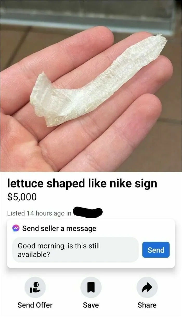 $5000 Lettuce Shard