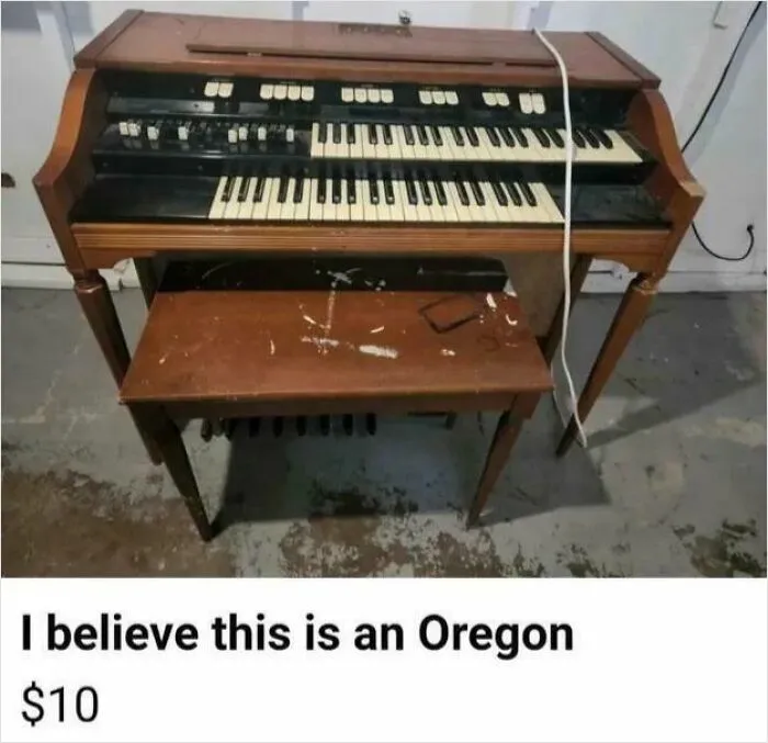 I Believe This Is An Oregon