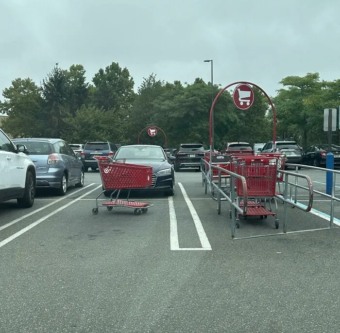 La gente que no devuelve los carritos...