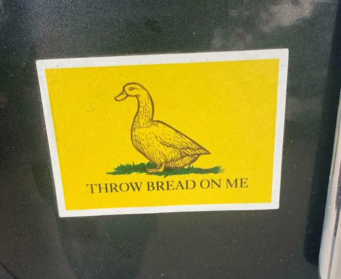 Best Bumper Sticker I’ve Seen In A While
