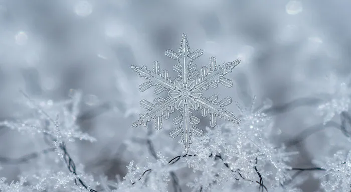 Perfectly Symmetrical Snowflake