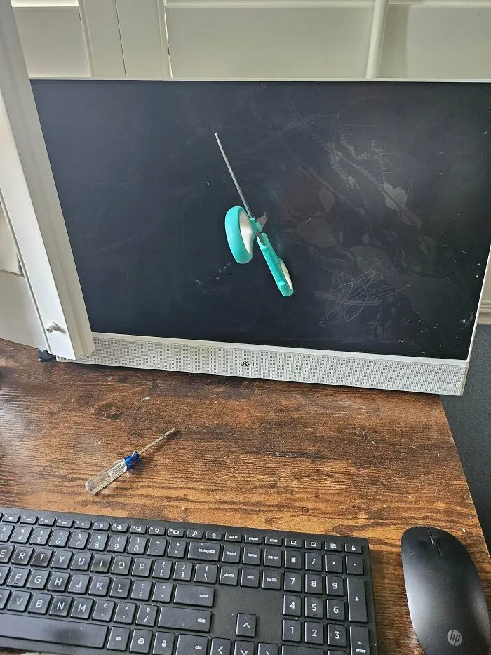 8-Year-Old Cousin Stabbed My 300 Dollar All In One Computer When I Refused To Let Him Use It