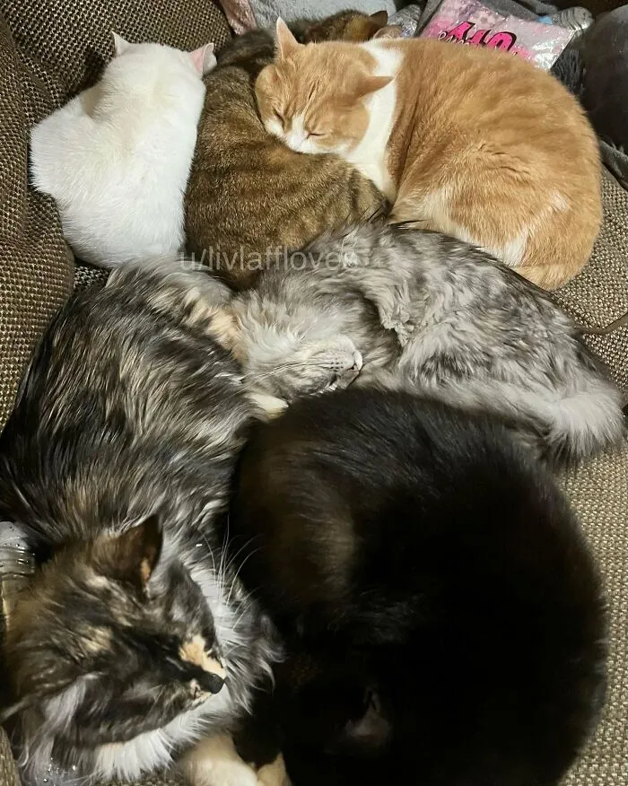 They’re Keeping Warm