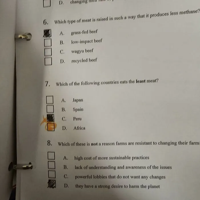 My Teacher Marked Me Wrong Because Africa Is Now A Country