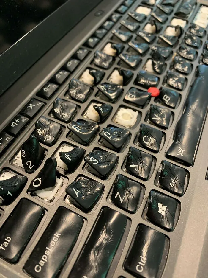 User Spilt Coffee On His Laptop, So He Put It In The Oven To Dry It Out