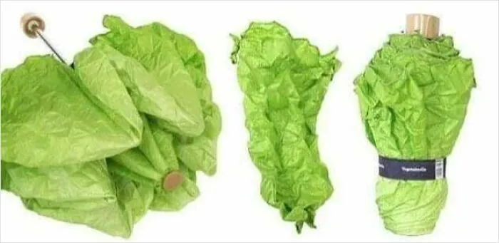 Nunca antes quise una lechuga