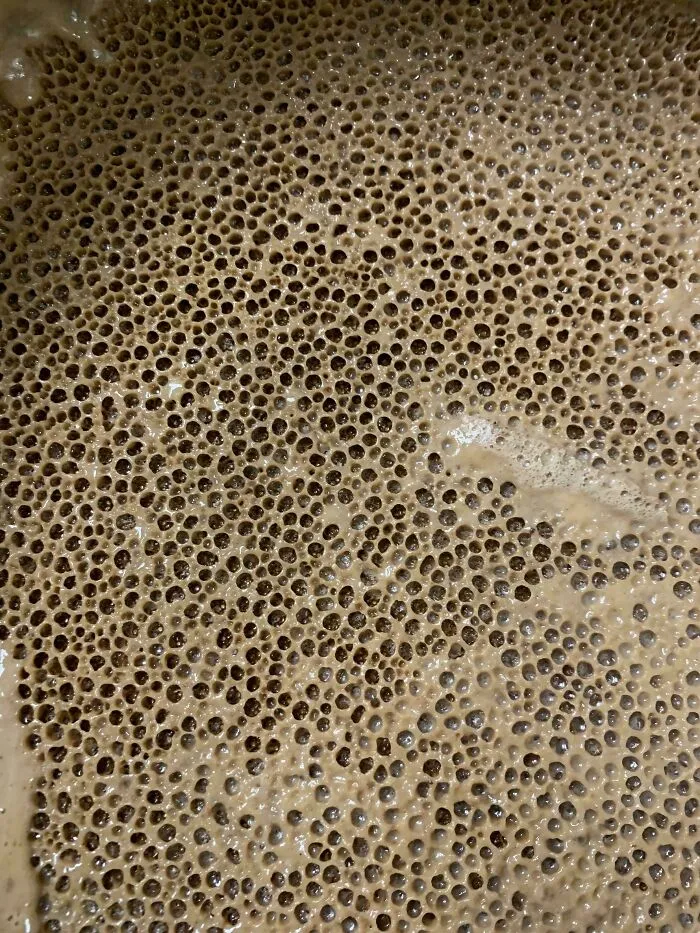 Close-up of dense cluster of small holes creating a texture that triggers trypophobia discomfort in sensitive viewers.