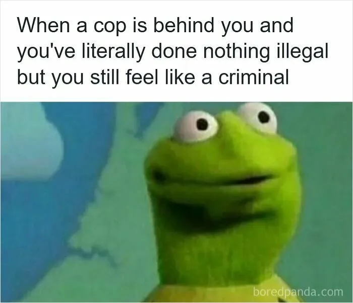 50 Hilarious Driving Memes That Explain Why Road Rage Exists