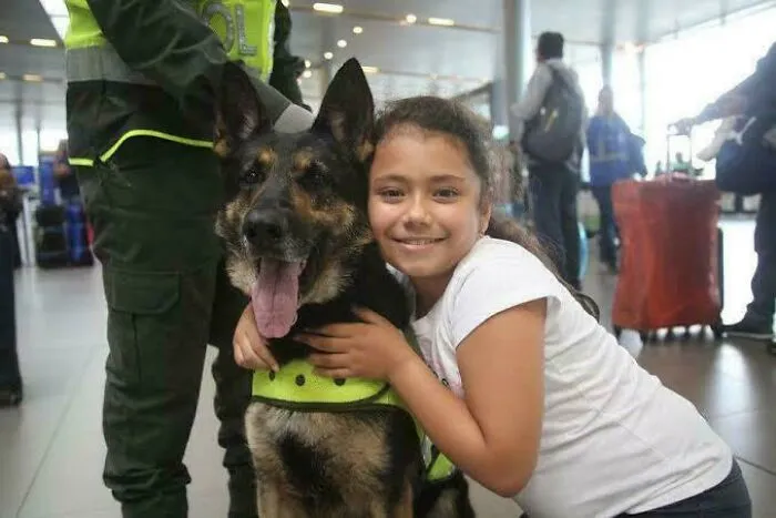 Sombra, A Colombian Police Dog, Was So Skilled  That Cartels Put A Bounty On Her Life, Leading Authorities To Assign Her Bodyguards And Relocate Her For Safety