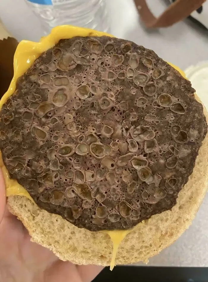 Close-up of a cheeseburger patty with unusual hole patterns triggering trypophobia discomfort in some viewers.