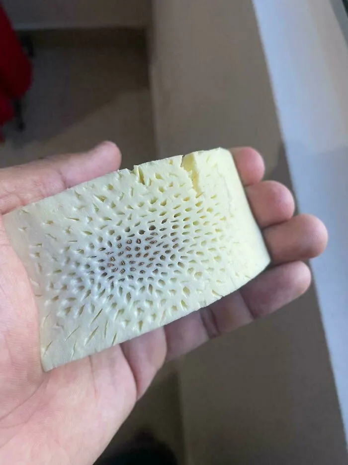 Hand holding a porous, spongy object with a repetitive hole pattern, triggering trypophobia discomfort.