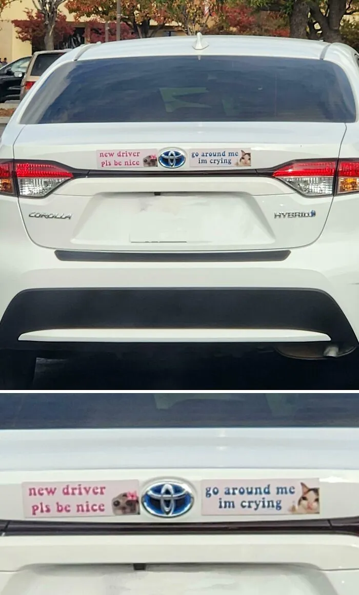 Spotted A Bumper Sticker In A Parking Lot That Had Me Cracking Up