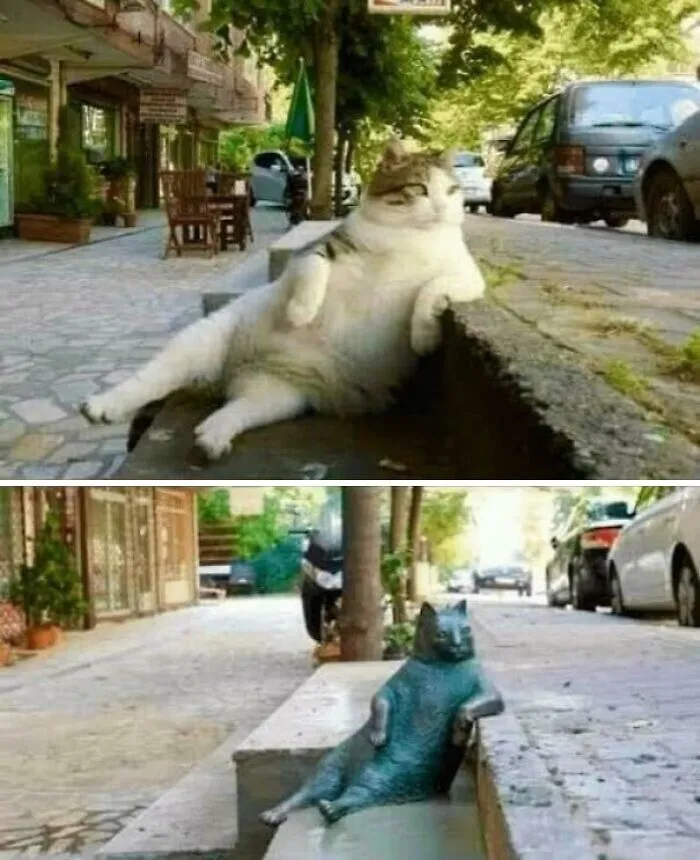 A Statue In Istanbul To Honor Tombili, A Well-Known Stray Cat. He Used To Sit In This Position And Watch Passers-By