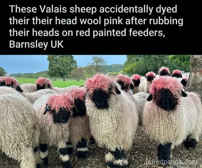 It's Not A Phase Mom!