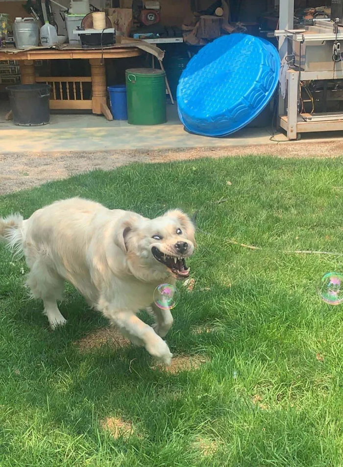 Internet, Meet Finn