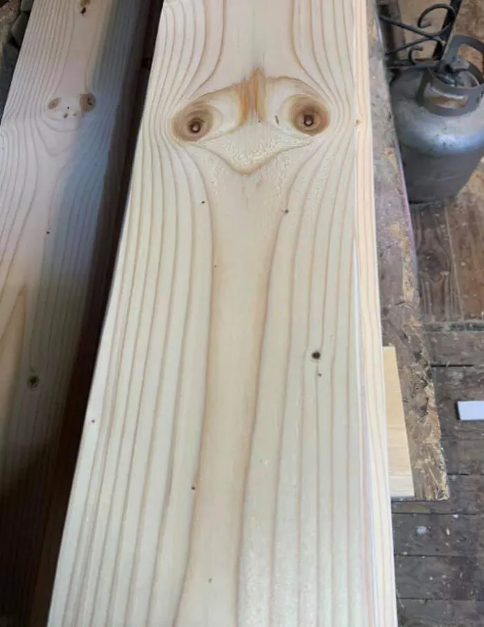 Grains On This Wood Plank Resemble An Ostrich