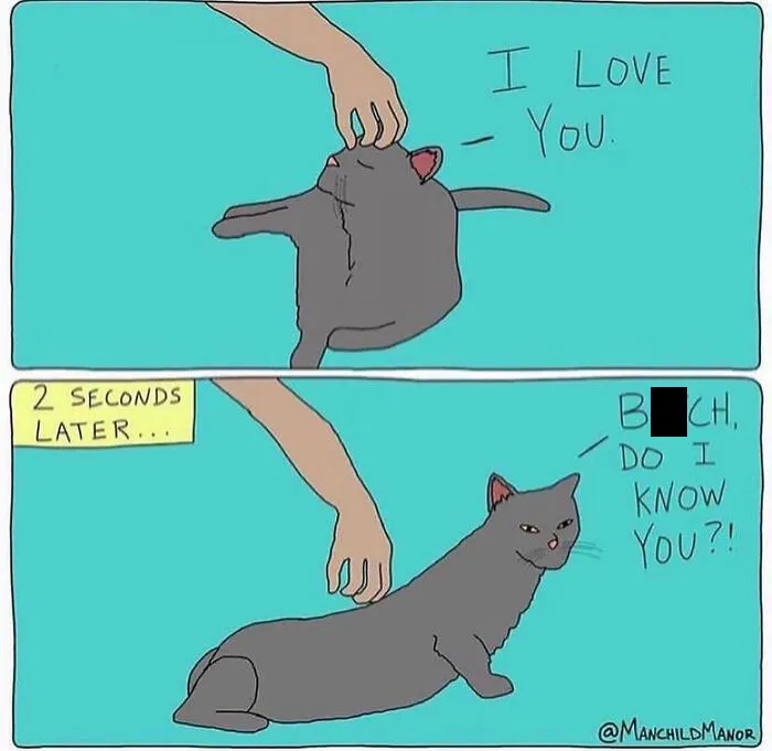 50 Relatable Comics About Life’s Little Absurdities