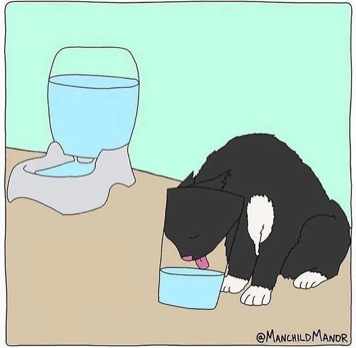 15 Cómics divertidos sobre las pequeñas absurdeces de la vida