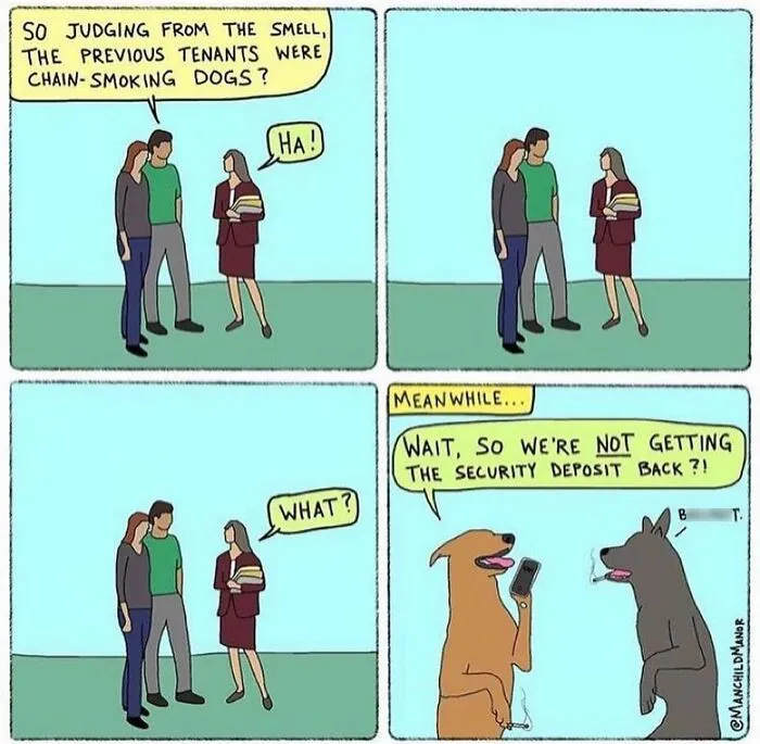 50 Relatable Comics About Life’s Little Absurdities