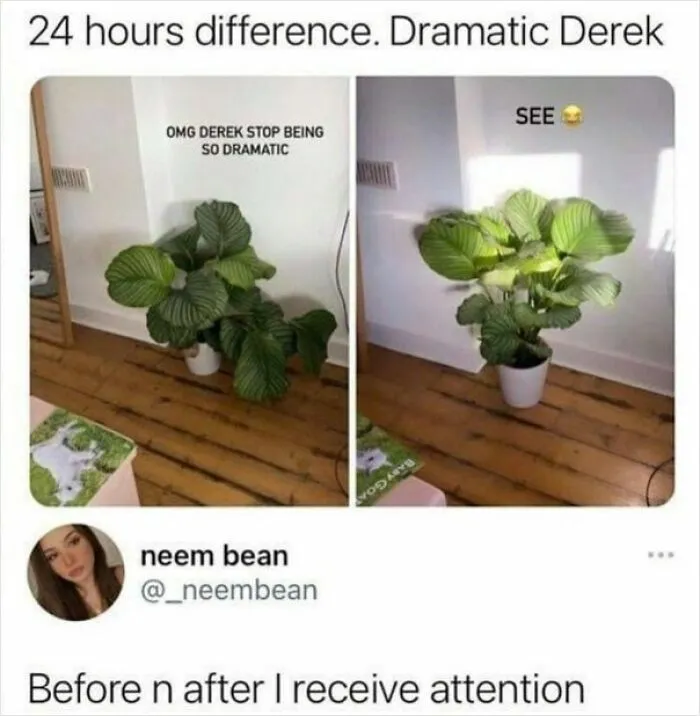 50 Couple Memes Capturing Universal Truths About Relationships