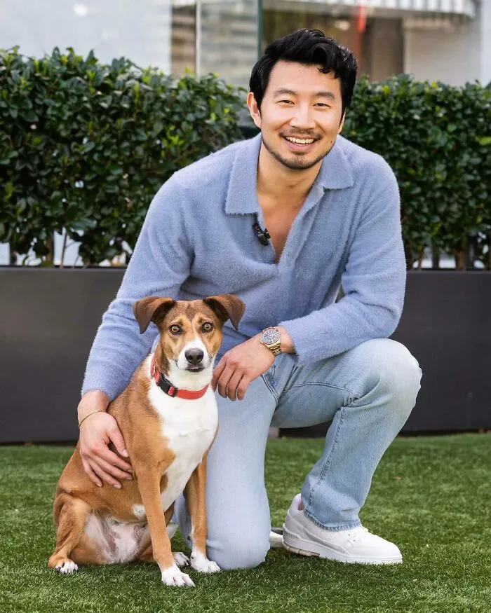 Simu Liu