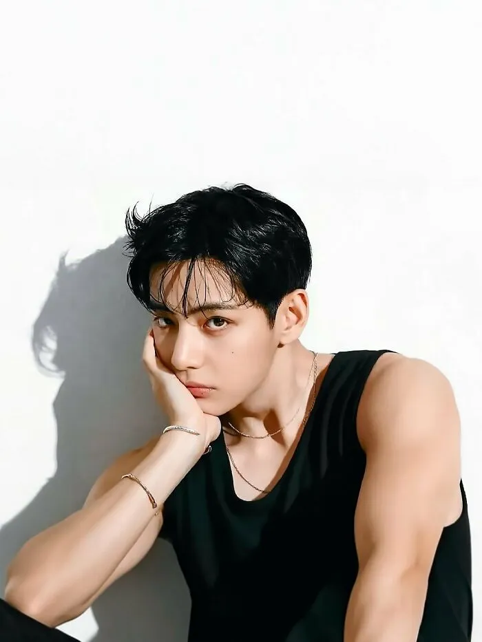 Kim Tae-Hyung (V, Bts)