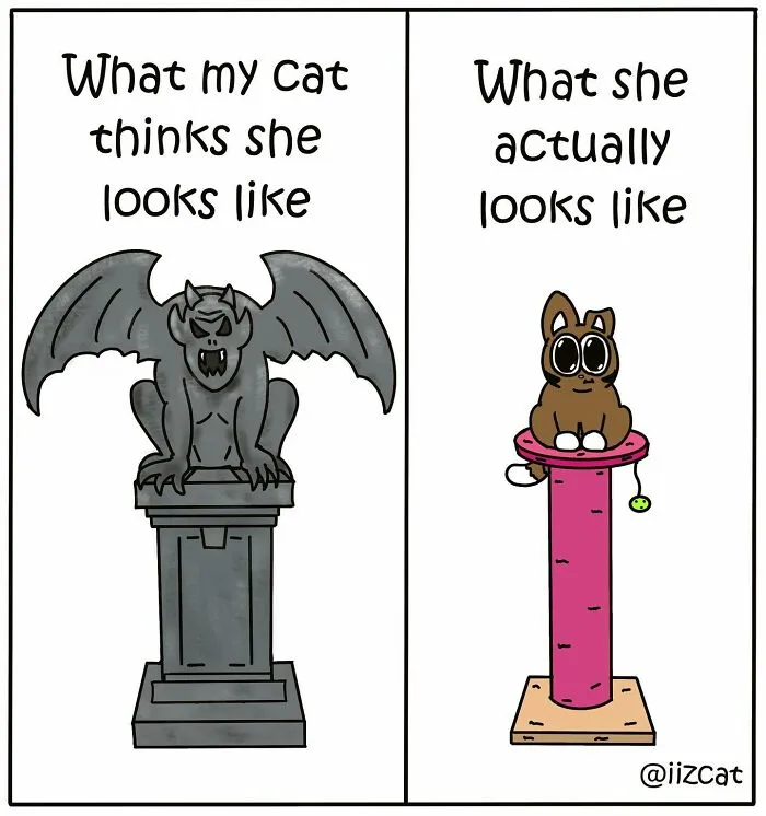 20 Funny New Comics By Nick Filippou That Nail Life With A Cat