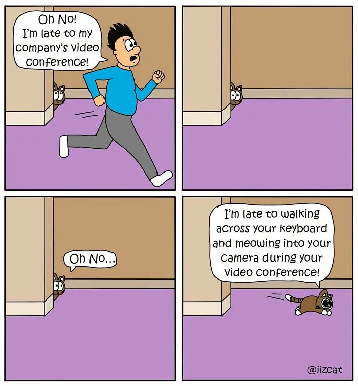 20 Funny New Comics By Nick Filippou That Nail Life With A Cat