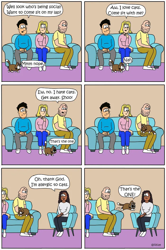 20 Funny New Comics By Nick Filippou That Nail Life With A Cat