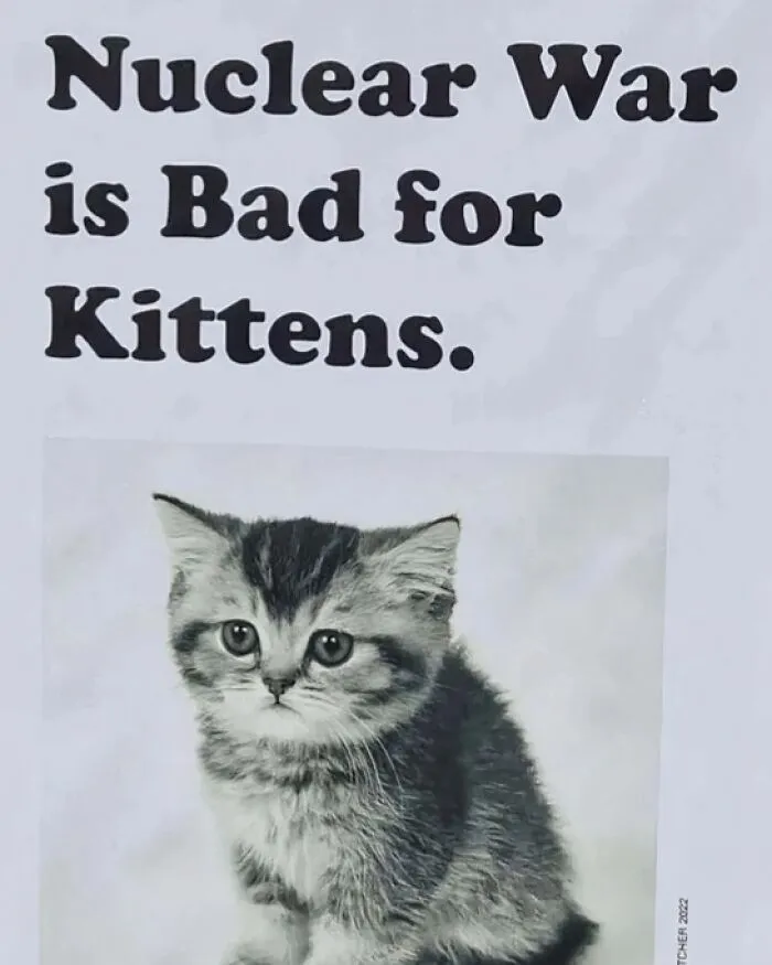 50 Purr-Fect Kitties Who Totally Deserve Their Own Catwalk And Comedy Show