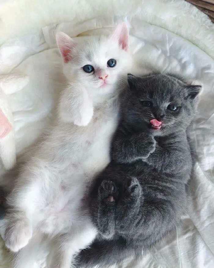 Really Cute