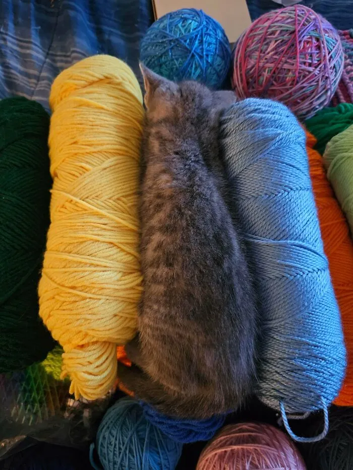 I Thought He Was A Yarn