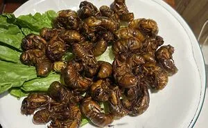 You Might Lose Your Appetite For A Whole Week After Witnessing These 50 Food Crimes (New Pics)