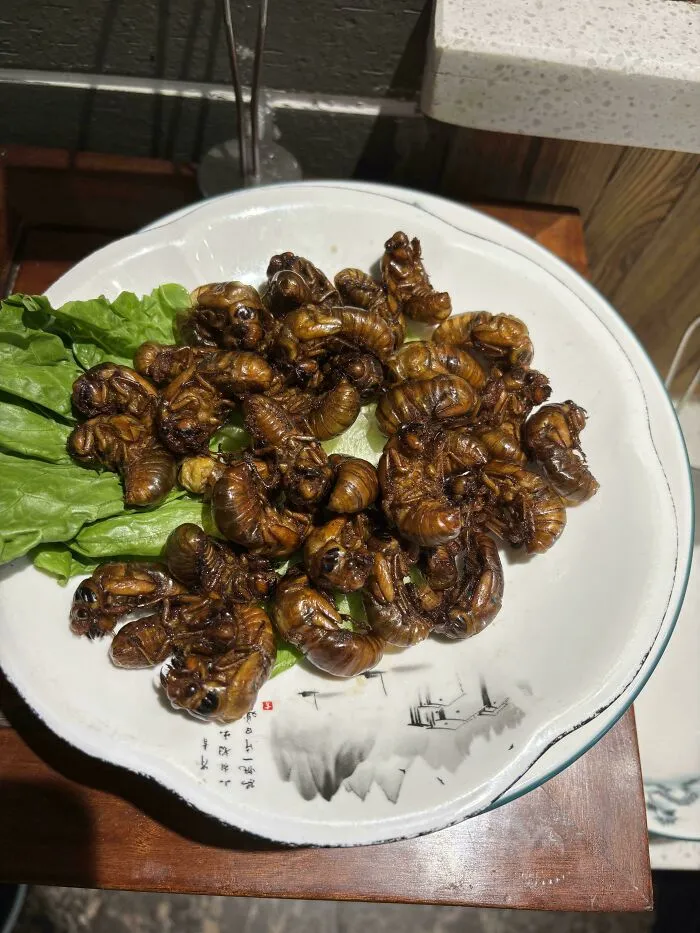 Served At My Dinner In China. I Didn’t Eat It