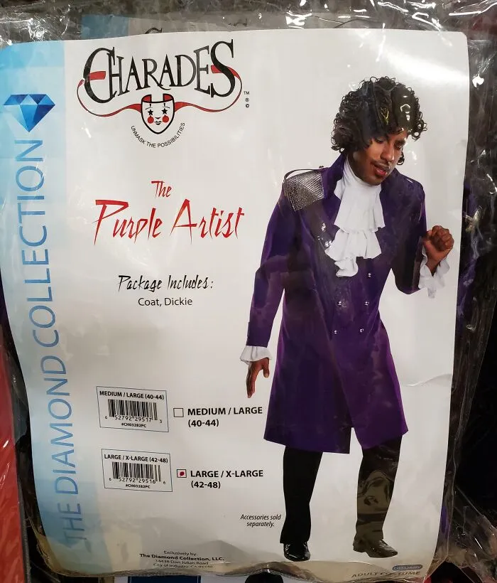 Off-brand Halloween costume called The Purple Artist with coat and dickie from Charades in large size packaging.