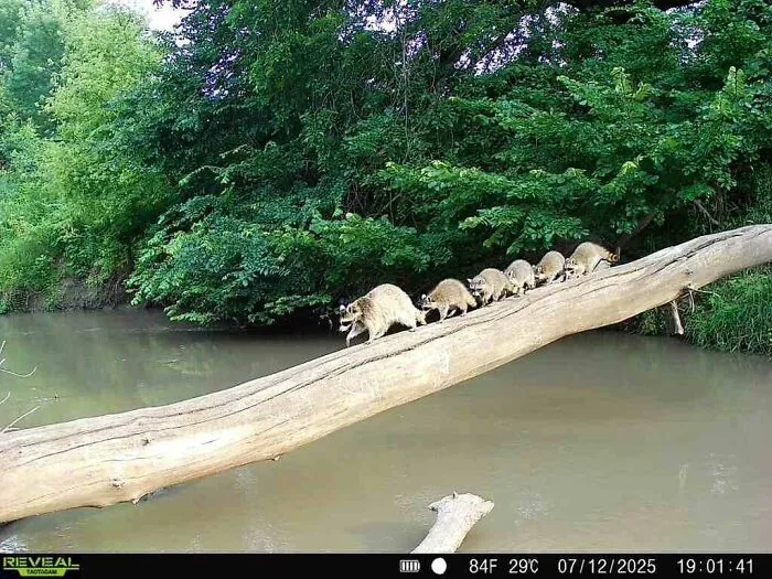 One Awesome Picture