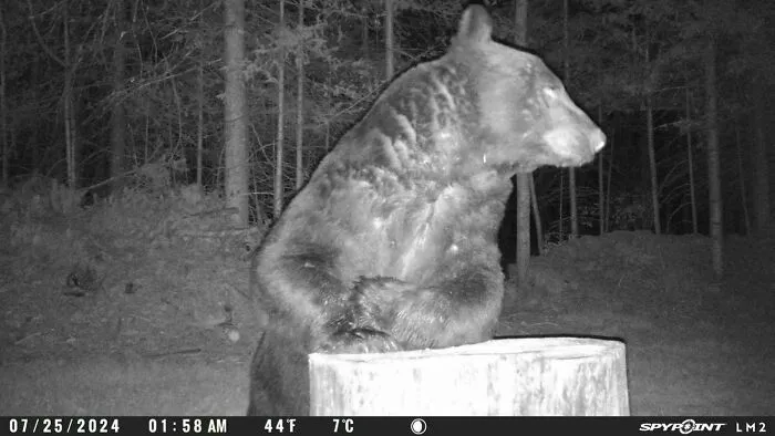 Bartender, I'll Have Another