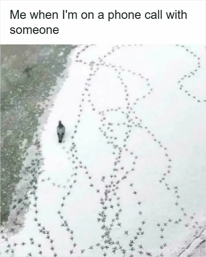 50 Relatable Moments That Prove We’re All Just Human