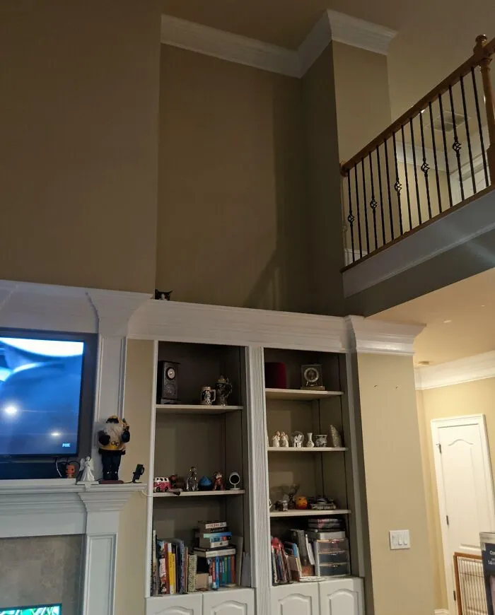I Finally Figured Out Where Tank The Cat Has Been Hiding. I Only Saw Him Because A Bird Chirped On TV And He Stuck His Head Up Slightly. Who Sees Him?