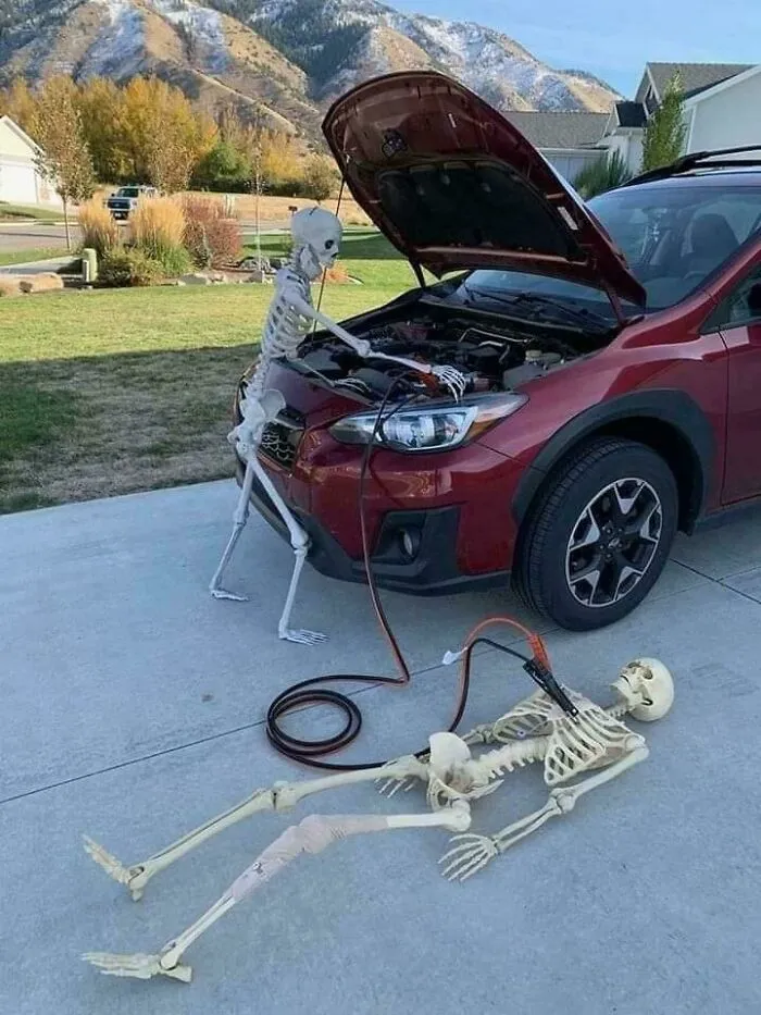 Best Halloween Decorations Ever