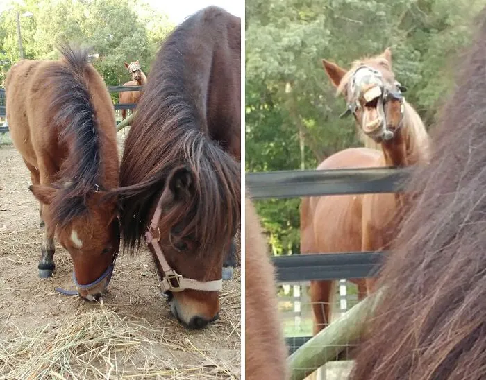 Photobomb Level 100