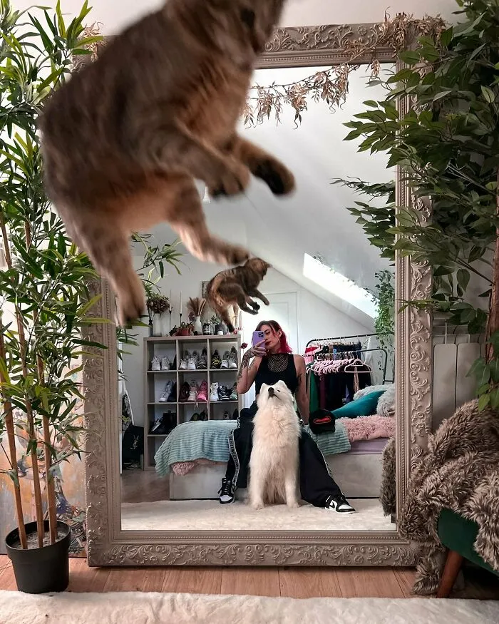 Photobomb Cat
