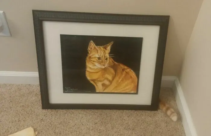 They'll Never Find Me Here