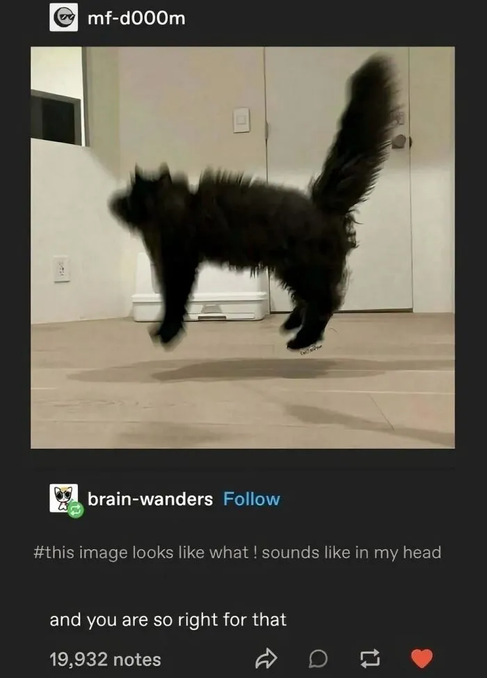 Cats Make The World A Better Place Just By Existing And These 50 Pics Prove It