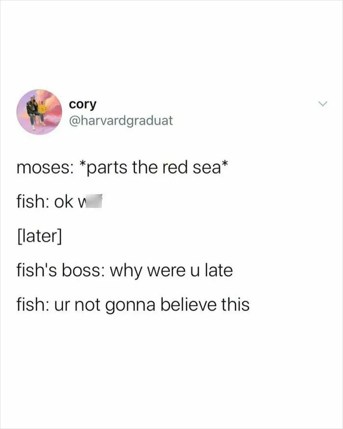 50 Funny Random Tweets That Make You Wonder, “How Could Someone Think Of This?”